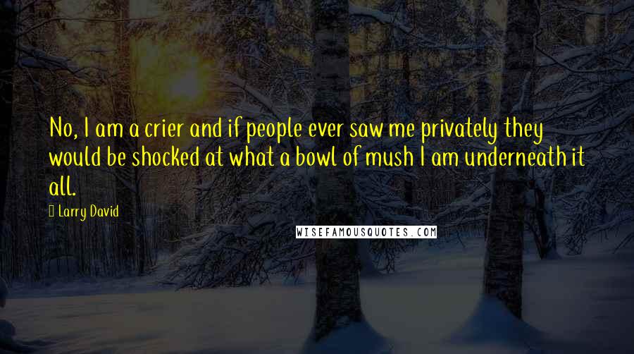 Larry David Quotes: No, I am a crier and if people ever saw me privately they would be shocked at what a bowl of mush I am underneath it all.