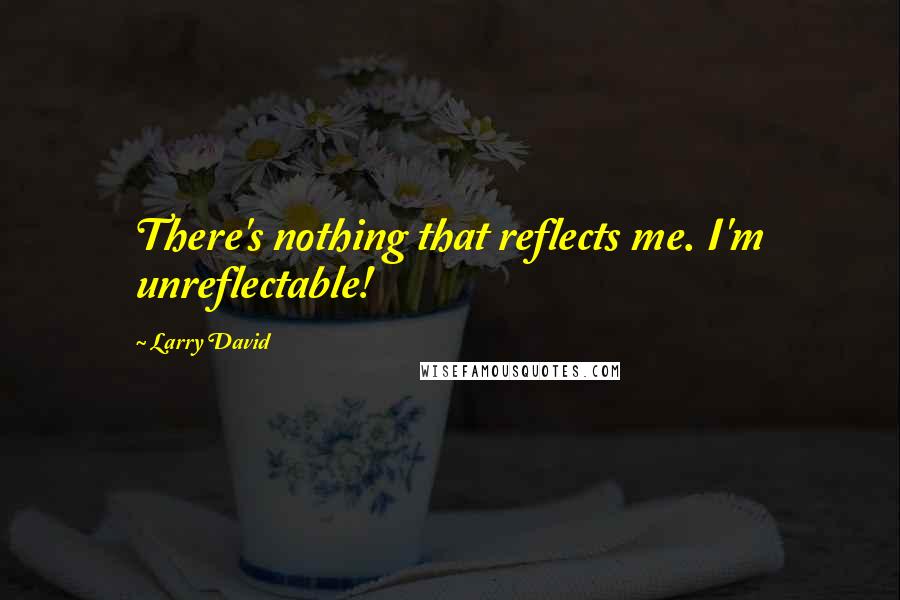 Larry David Quotes: There's nothing that reflects me. I'm unreflectable!