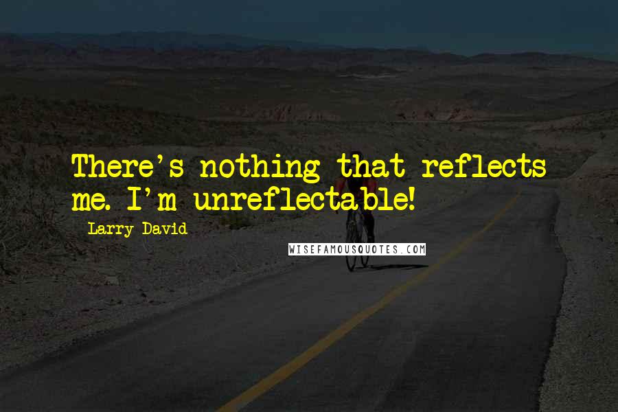Larry David Quotes: There's nothing that reflects me. I'm unreflectable!