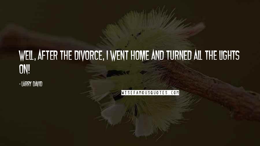 Larry David Quotes: Well, after the divorce, I went home and turned all the lights on!