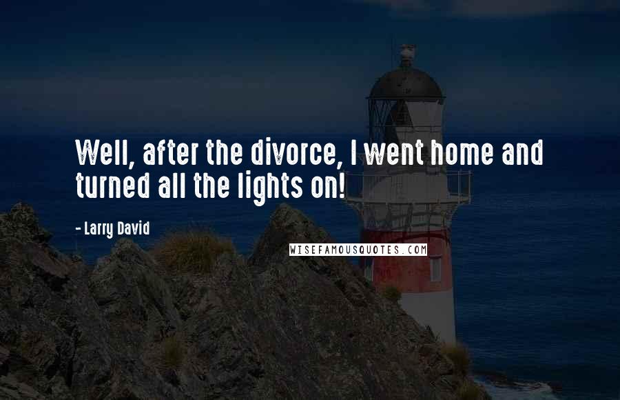 Larry David Quotes: Well, after the divorce, I went home and turned all the lights on!