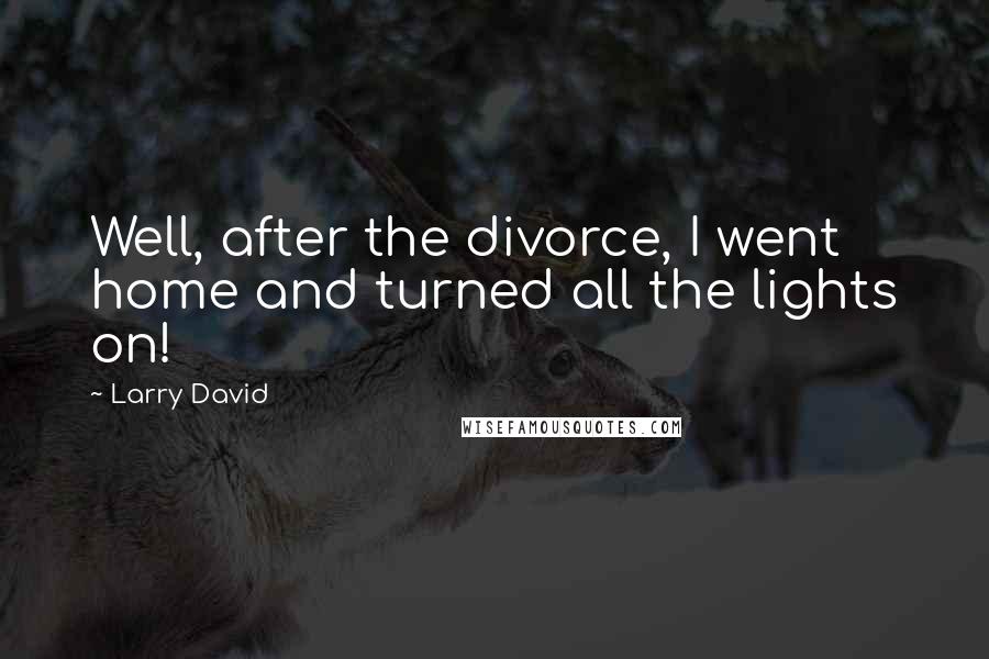 Larry David Quotes: Well, after the divorce, I went home and turned all the lights on!