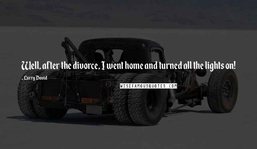 Larry David Quotes: Well, after the divorce, I went home and turned all the lights on!