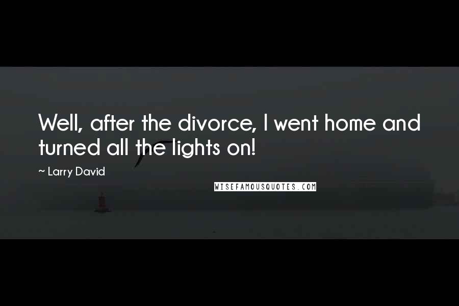 Larry David Quotes: Well, after the divorce, I went home and turned all the lights on!