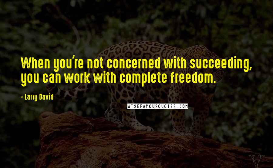 Larry David Quotes: When you're not concerned with succeeding, you can work with complete freedom.