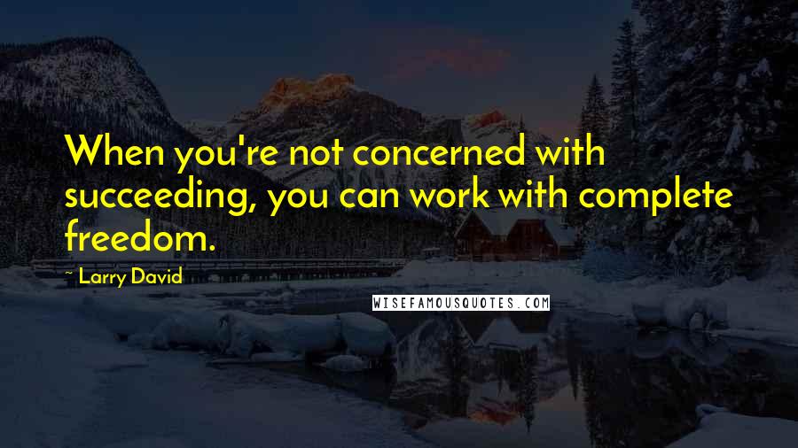 Larry David Quotes: When you're not concerned with succeeding, you can work with complete freedom.