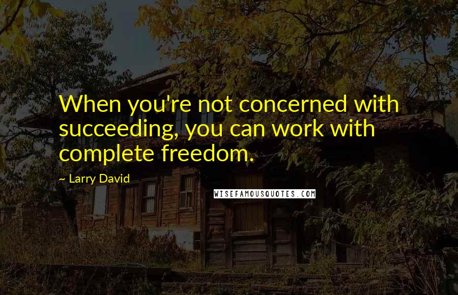 Larry David Quotes: When you're not concerned with succeeding, you can work with complete freedom.