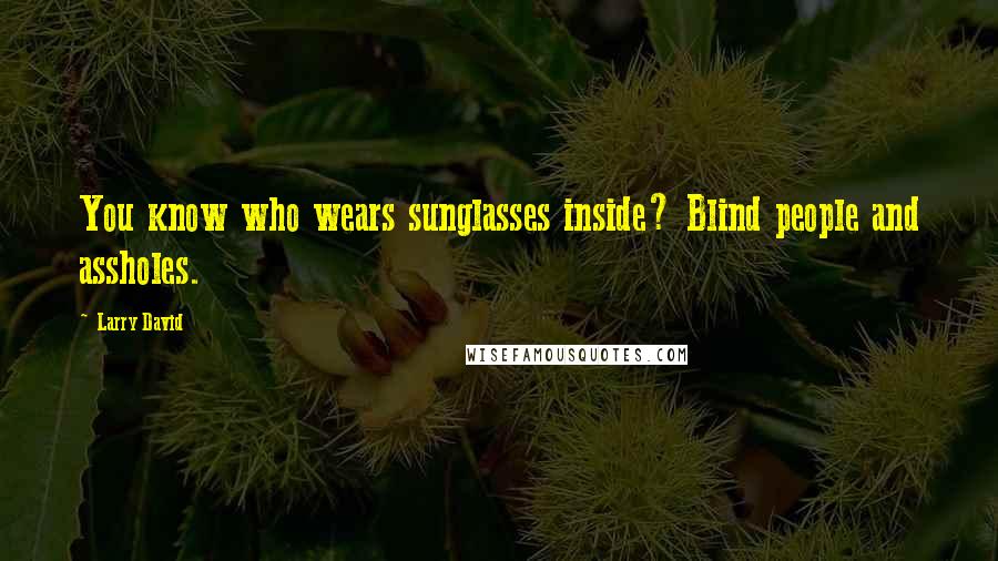 Larry David Quotes: You know who wears sunglasses inside? Blind people and assholes.