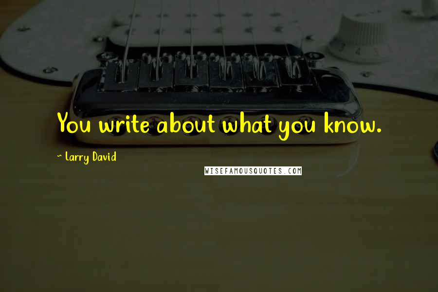 Larry David Quotes: You write about what you know.