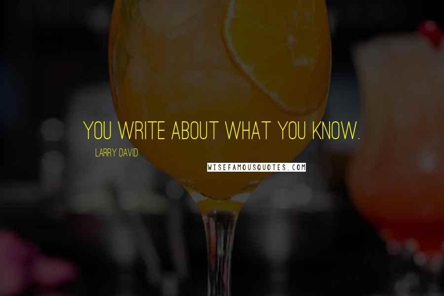 Larry David Quotes: You write about what you know.