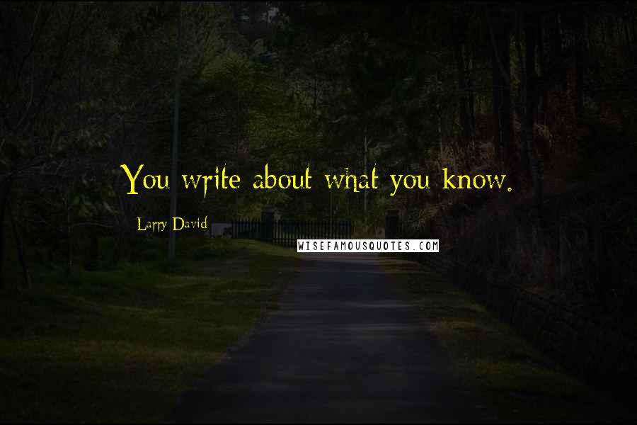 Larry David Quotes: You write about what you know.
