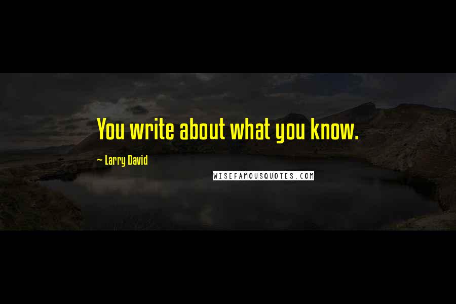 Larry David Quotes: You write about what you know.