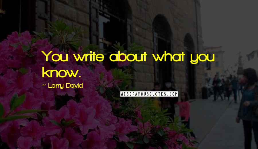 Larry David Quotes: You write about what you know.