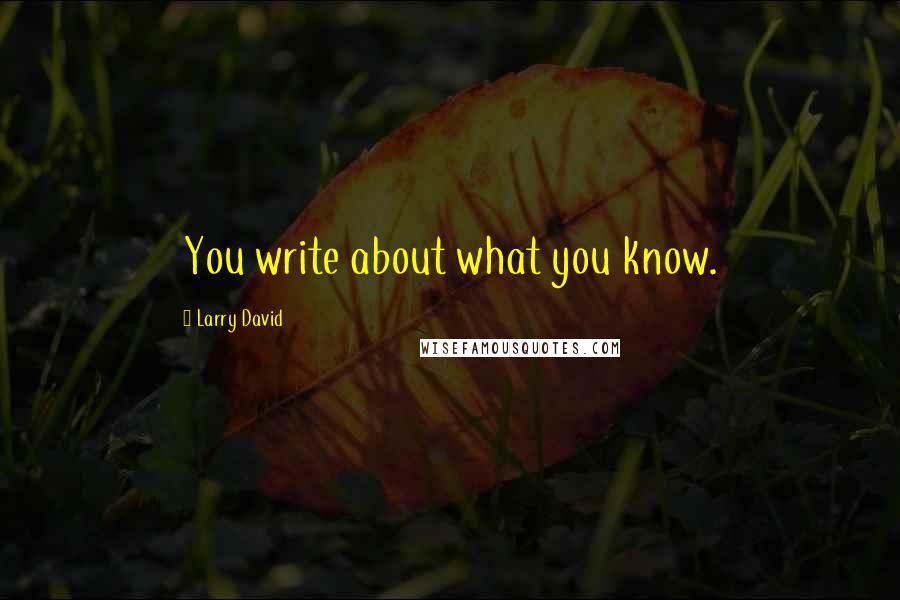 Larry David Quotes: You write about what you know.