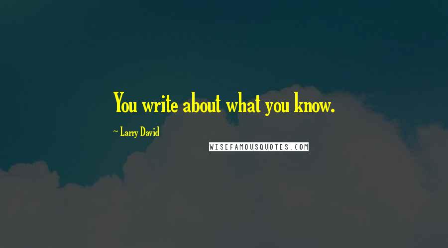 Larry David Quotes: You write about what you know.