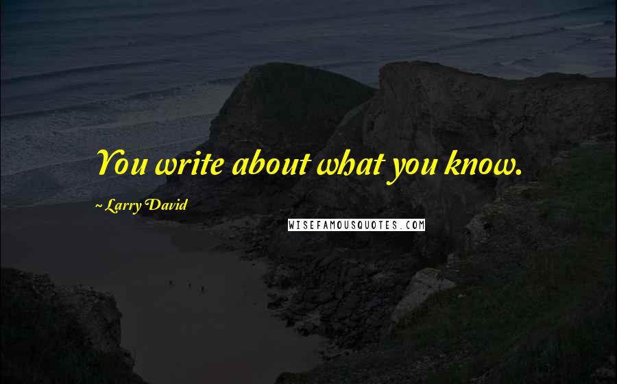 Larry David Quotes: You write about what you know.