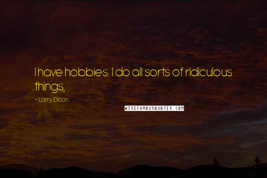 Larry Ellison Quotes: I have hobbies. I do all sorts of ridiculous things,