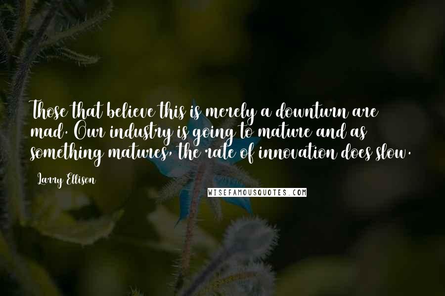 Larry Ellison Quotes: Those that believe this is merely a downturn are mad. Our industry is going to mature and as something matures, the rate of innovation does slow.