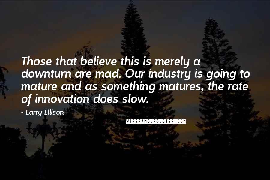 Larry Ellison Quotes: Those that believe this is merely a downturn are mad. Our industry is going to mature and as something matures, the rate of innovation does slow.