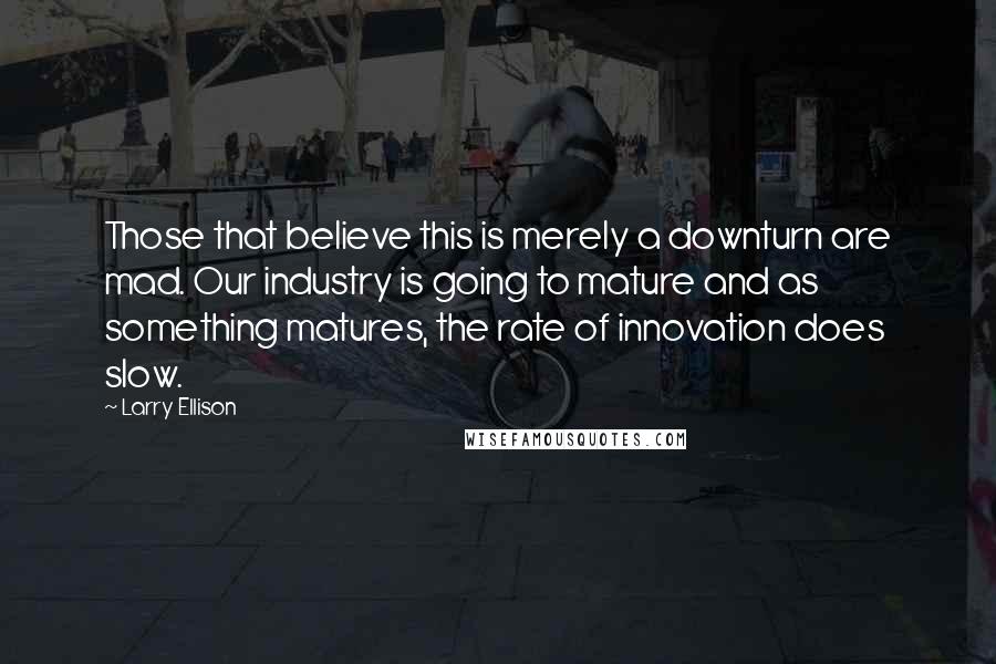 Larry Ellison Quotes: Those that believe this is merely a downturn are mad. Our industry is going to mature and as something matures, the rate of innovation does slow.