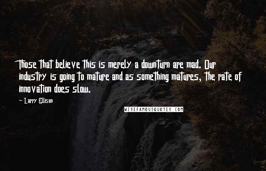 Larry Ellison Quotes: Those that believe this is merely a downturn are mad. Our industry is going to mature and as something matures, the rate of innovation does slow.