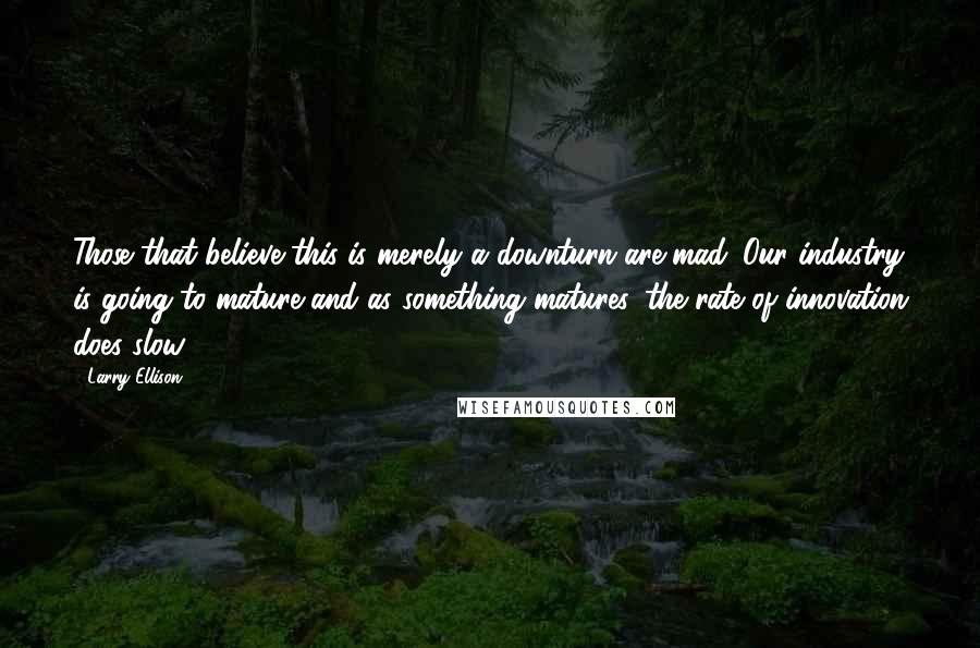 Larry Ellison Quotes: Those that believe this is merely a downturn are mad. Our industry is going to mature and as something matures, the rate of innovation does slow.