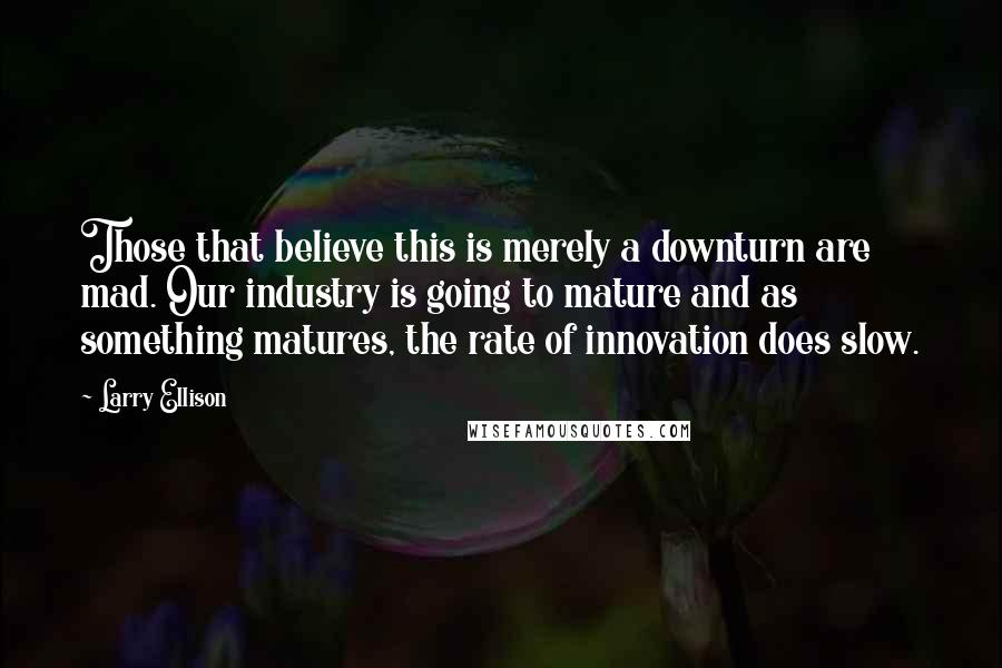 Larry Ellison Quotes: Those that believe this is merely a downturn are mad. Our industry is going to mature and as something matures, the rate of innovation does slow.