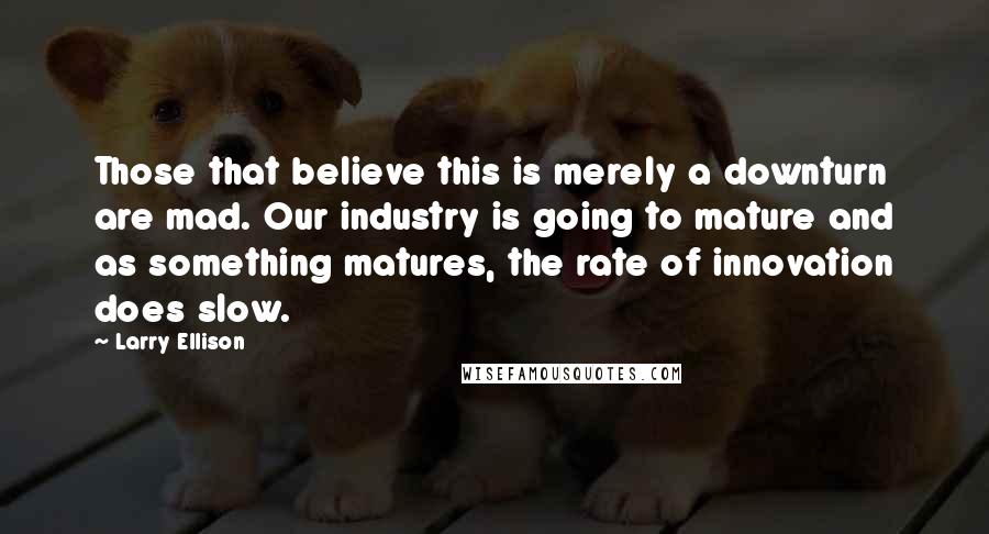 Larry Ellison Quotes: Those that believe this is merely a downturn are mad. Our industry is going to mature and as something matures, the rate of innovation does slow.