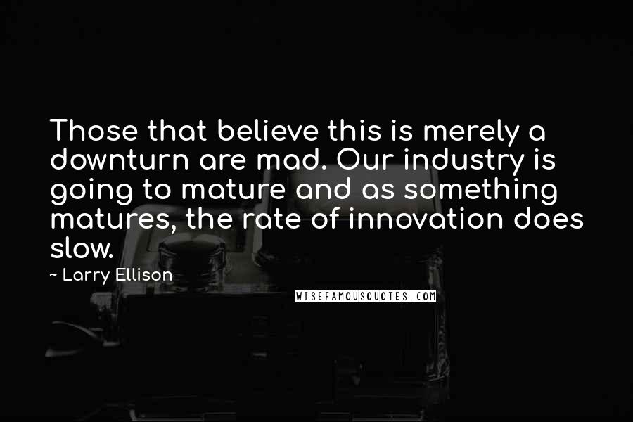 Larry Ellison Quotes: Those that believe this is merely a downturn are mad. Our industry is going to mature and as something matures, the rate of innovation does slow.
