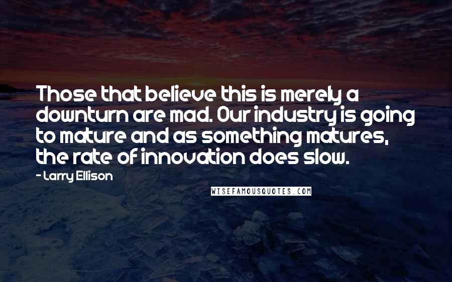 Larry Ellison Quotes: Those that believe this is merely a downturn are mad. Our industry is going to mature and as something matures, the rate of innovation does slow.