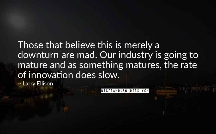 Larry Ellison Quotes: Those that believe this is merely a downturn are mad. Our industry is going to mature and as something matures, the rate of innovation does slow.