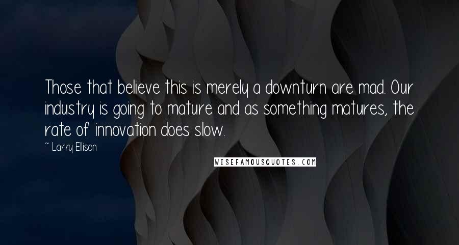 Larry Ellison Quotes: Those that believe this is merely a downturn are mad. Our industry is going to mature and as something matures, the rate of innovation does slow.