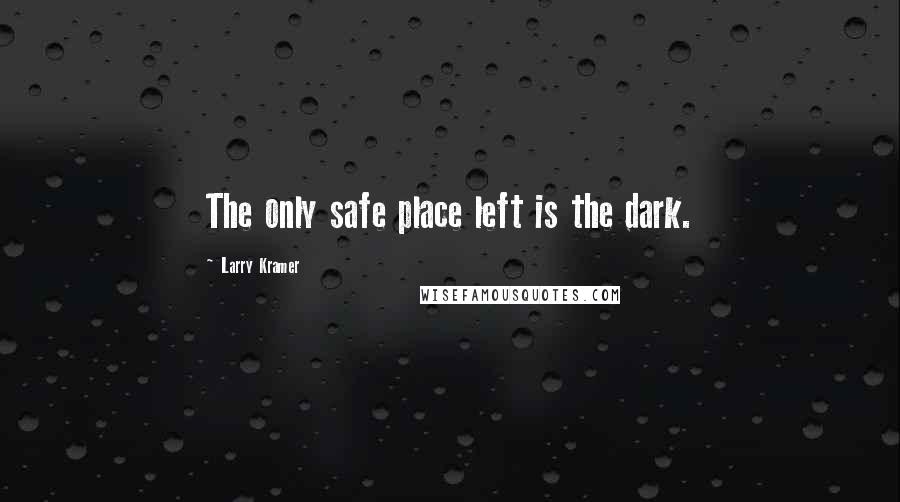 Larry Kramer Quotes: The only safe place left is the dark.