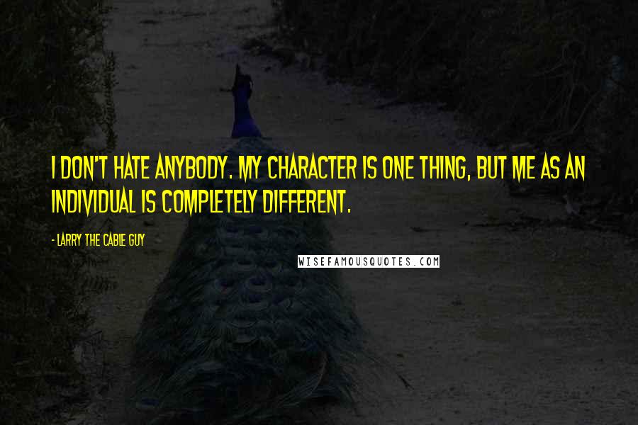 Larry The Cable Guy Quotes: I don't hate anybody. My character is one thing, but me as an individual is completely different.