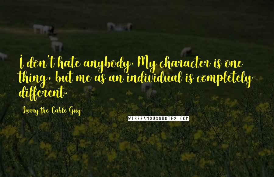 Larry The Cable Guy Quotes: I don't hate anybody. My character is one thing, but me as an individual is completely different.