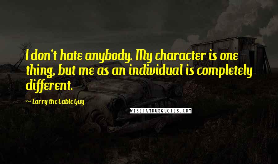 Larry The Cable Guy Quotes: I don't hate anybody. My character is one thing, but me as an individual is completely different.