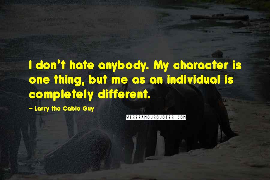 Larry The Cable Guy Quotes: I don't hate anybody. My character is one thing, but me as an individual is completely different.