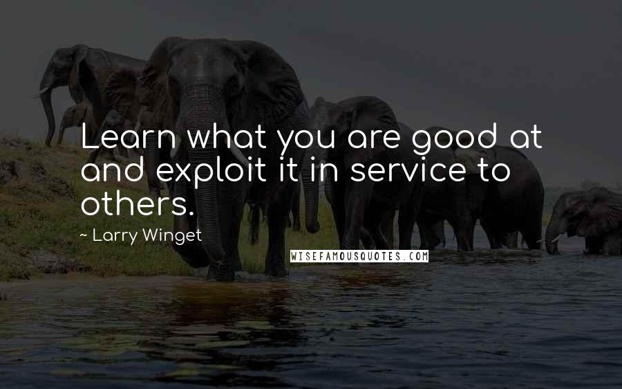 Larry Winget Quotes: Learn what you are good at and exploit it in service to others.