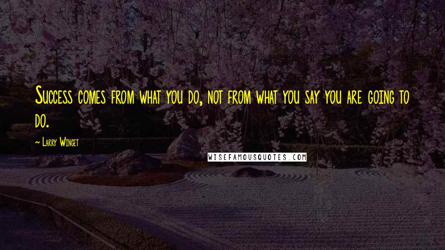 Larry Winget Quotes: Success comes from what you do, not from what you say you are going to do.