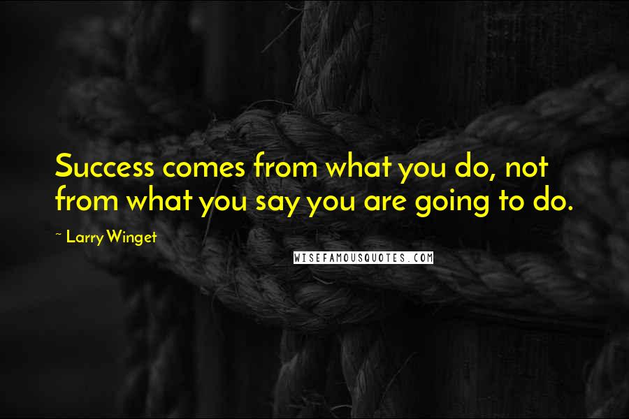 Larry Winget Quotes: Success comes from what you do, not from what you say you are going to do.