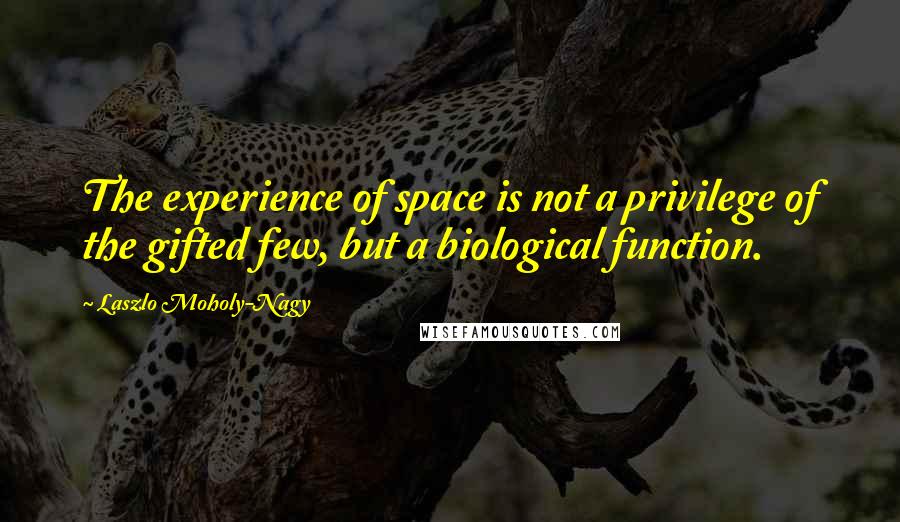 Laszlo Moholy-Nagy Quotes: The experience of space is not a privilege of the gifted few, but a biological function.