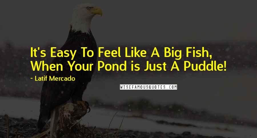 Latif Mercado Quotes: It's Easy To Feel Like A Big Fish, When Your Pond is Just A Puddle!