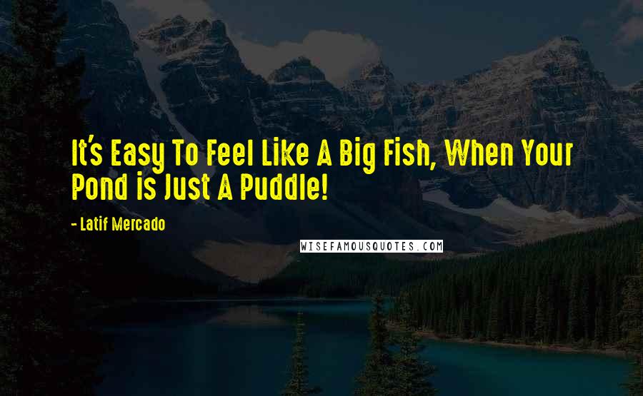 Latif Mercado Quotes: It's Easy To Feel Like A Big Fish, When Your Pond is Just A Puddle!