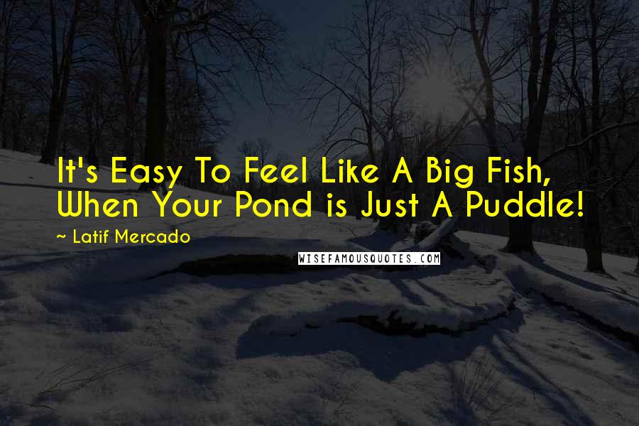 Latif Mercado Quotes: It's Easy To Feel Like A Big Fish, When Your Pond is Just A Puddle!