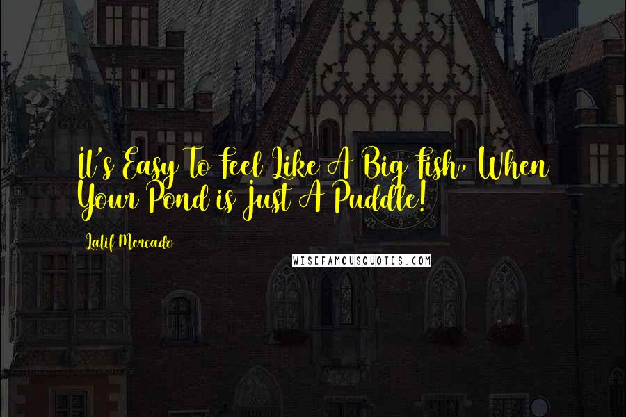 Latif Mercado Quotes: It's Easy To Feel Like A Big Fish, When Your Pond is Just A Puddle!
