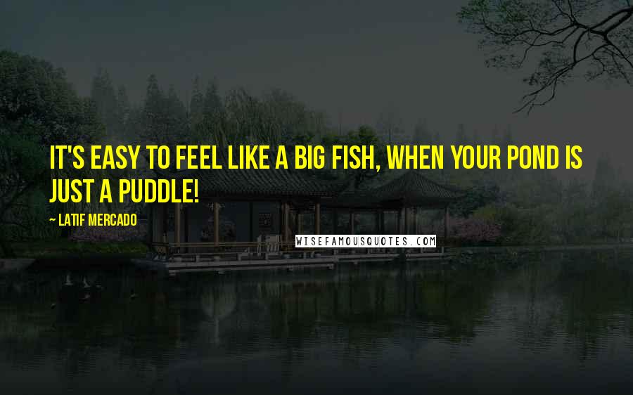 Latif Mercado Quotes: It's Easy To Feel Like A Big Fish, When Your Pond is Just A Puddle!