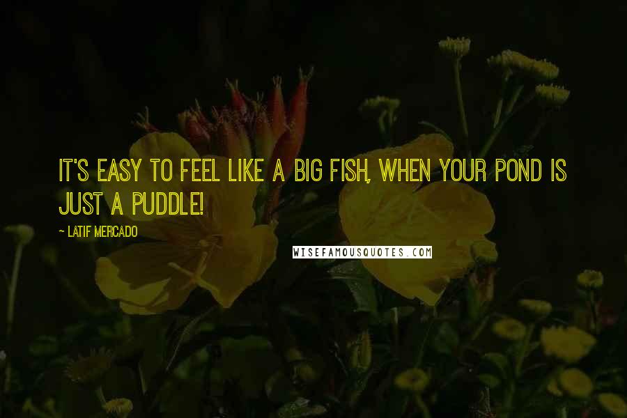 Latif Mercado Quotes: It's Easy To Feel Like A Big Fish, When Your Pond is Just A Puddle!