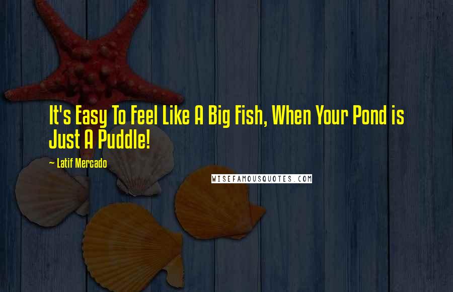 Latif Mercado Quotes: It's Easy To Feel Like A Big Fish, When Your Pond is Just A Puddle!