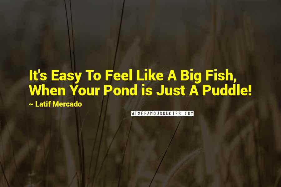 Latif Mercado Quotes: It's Easy To Feel Like A Big Fish, When Your Pond is Just A Puddle!