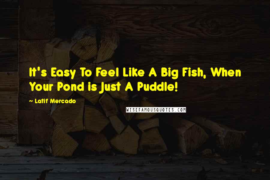 Latif Mercado Quotes: It's Easy To Feel Like A Big Fish, When Your Pond is Just A Puddle!